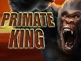 Primate King